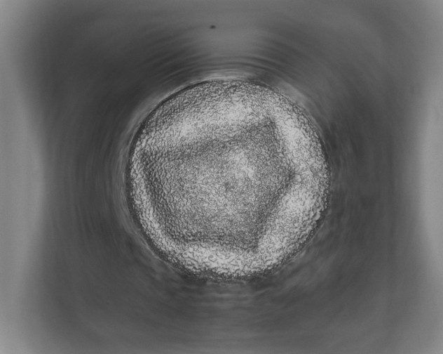 X0000111470337200908031404