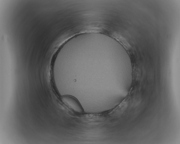 X0000111470338200908031404