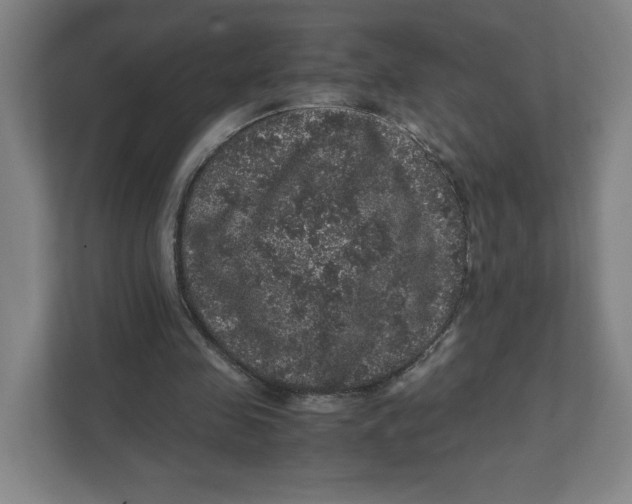 X0000111470341200908031404