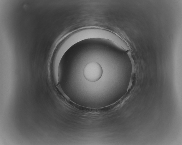 X0000111470344200908031404