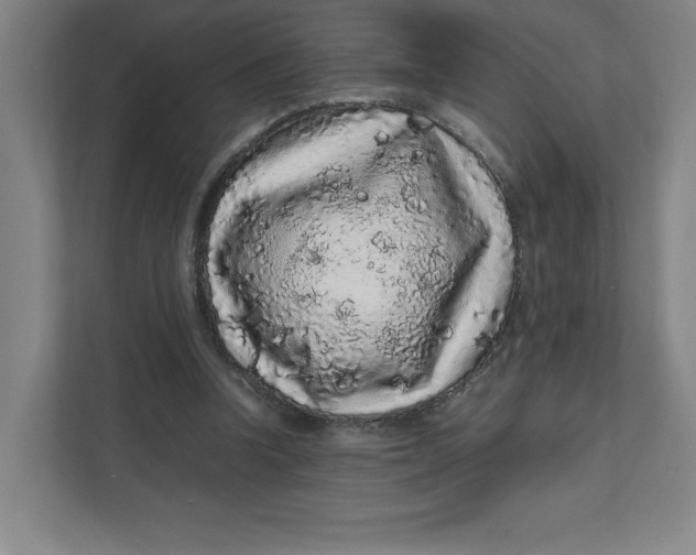 X0000111470346200908031405