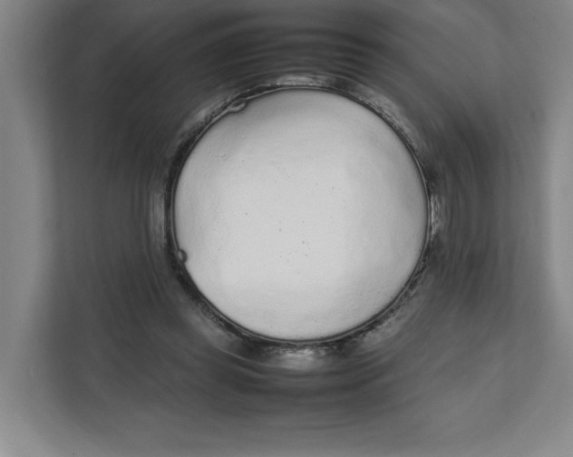 X0000111470349200908031405