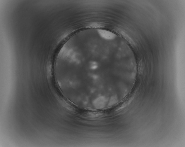 X0000111470351200908031405