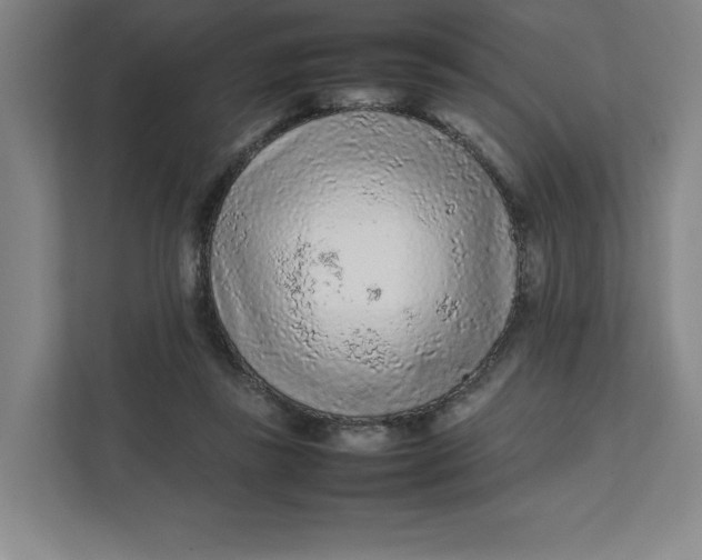 X0000111470355200908031405