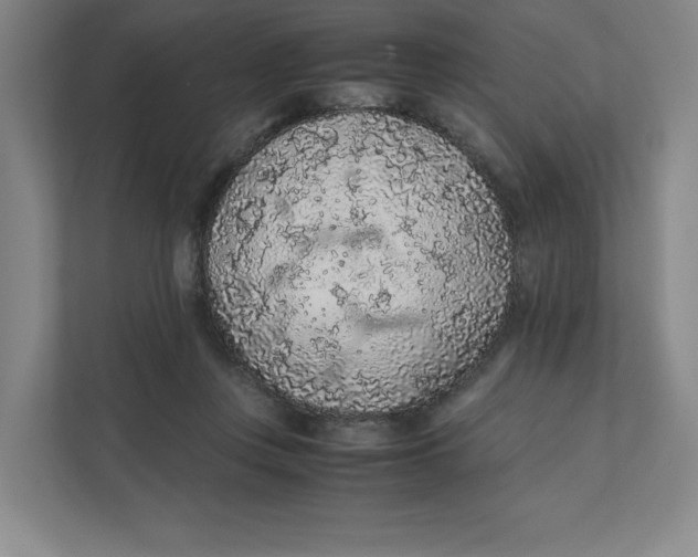 X0000111470359200908031405