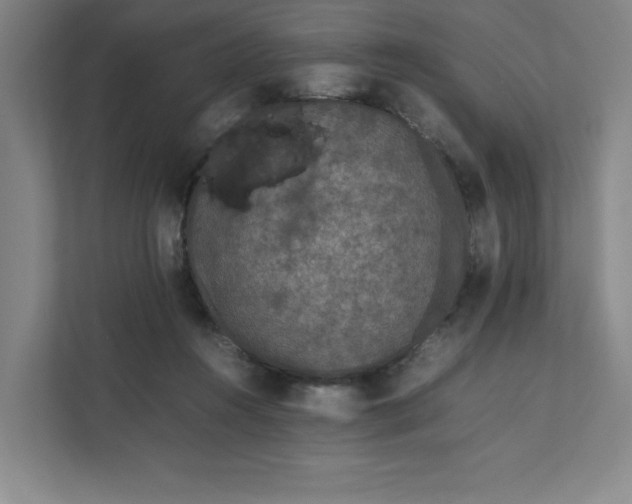 X0000111470360200908031405