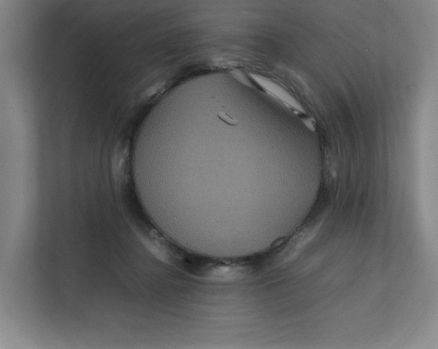 X0000111470364200908031405