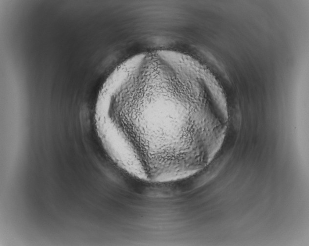 X0000111470366200908031405