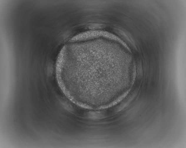 X0000111470367200908031405