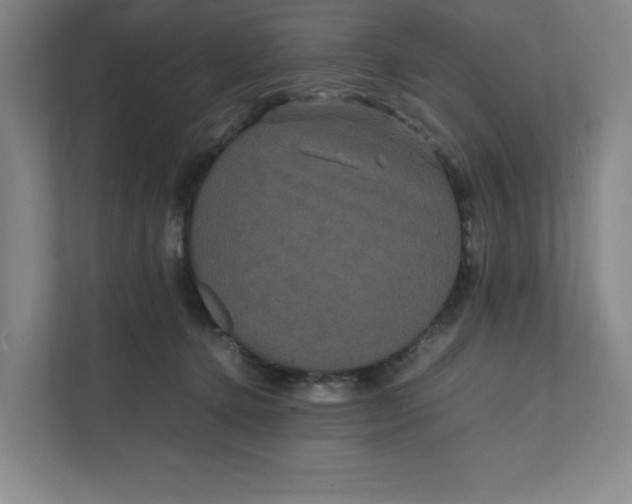 X0000111470368200908031405