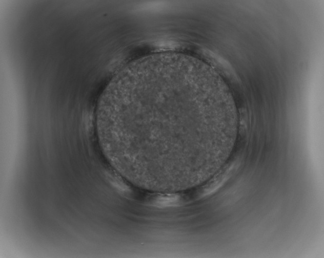 X0000111470369200908031405