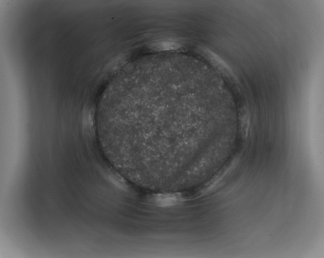 X0000111470373200908031405