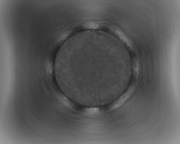 X0000111470374200908031405