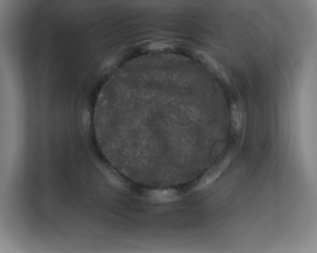 X0000111470375200908031405