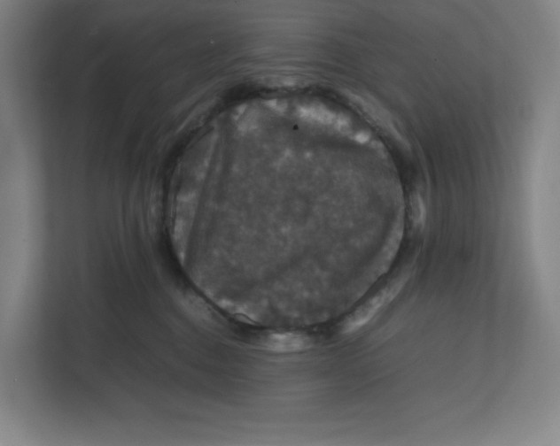 X0000111470376200908031405