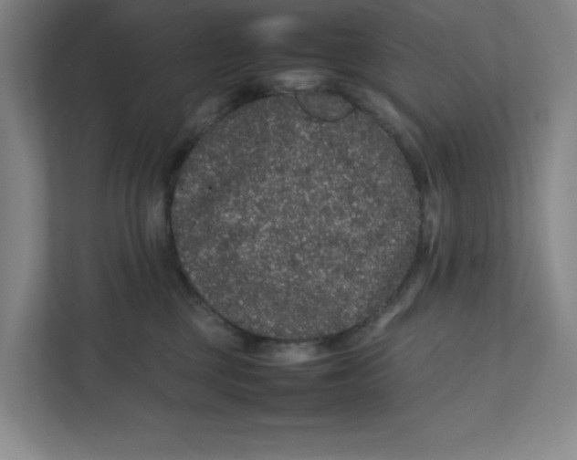 X0000111470377200908031405