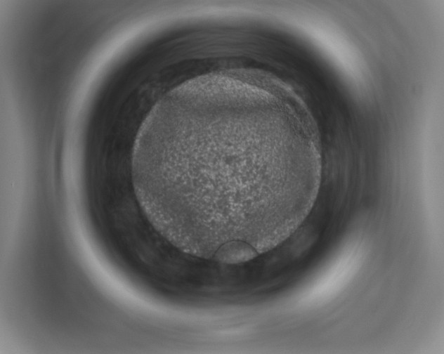 X0000111470383200908031405