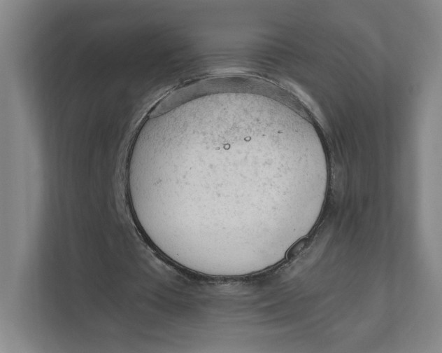 X0000111470385200908031404