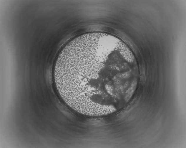 X0000111470386200908031404