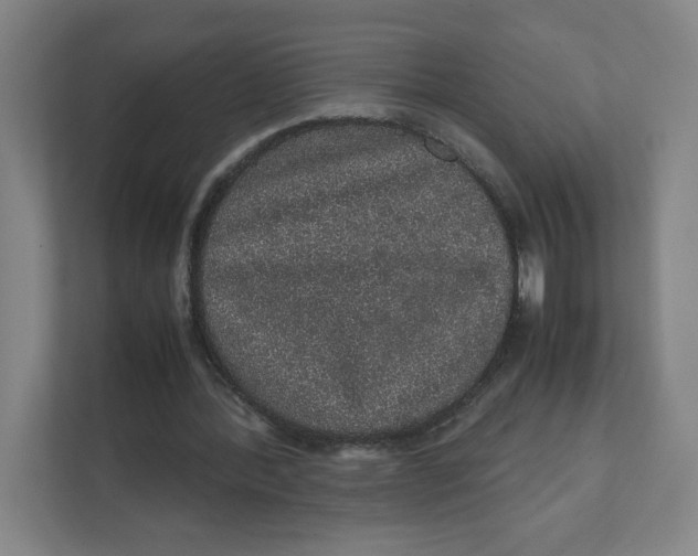 X0000111470388200908031404