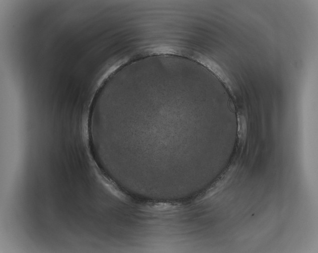 X0000111470390200908031404