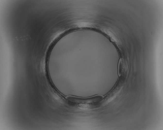 X0000111470391200908031404