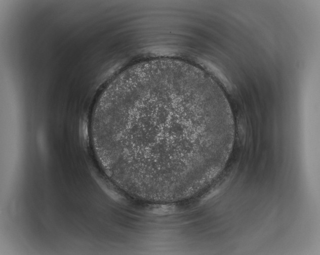 X0000111470398200908031404