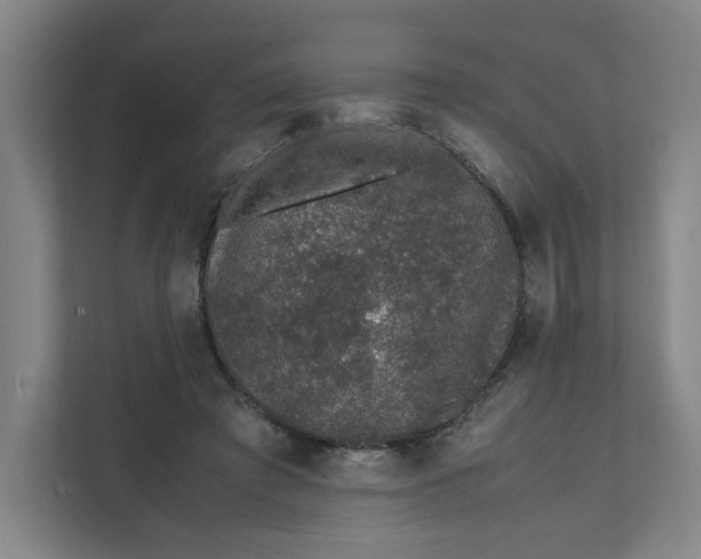 X0000111470401200908031404