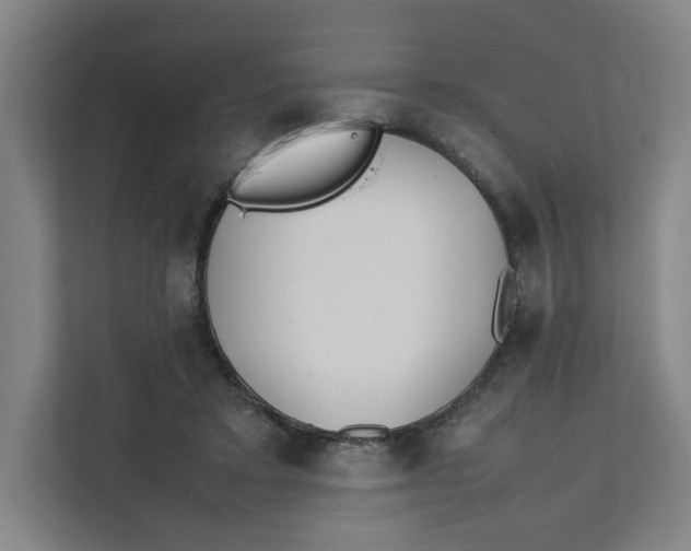 X0000111470403200908031404