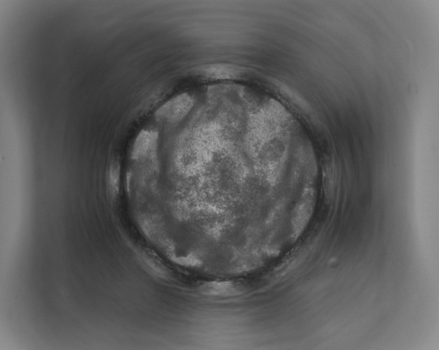 X0000111470406200908031404