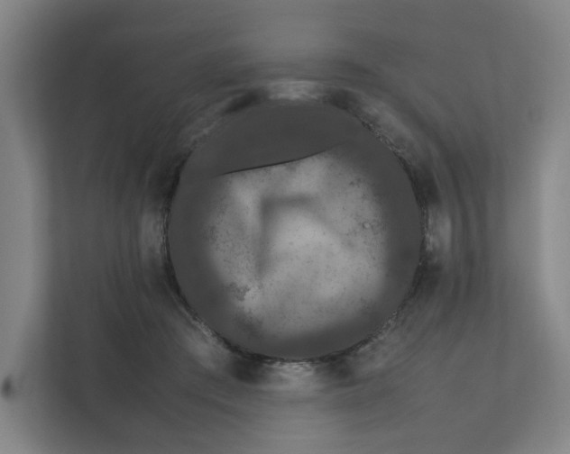 X0000111470409200908031404