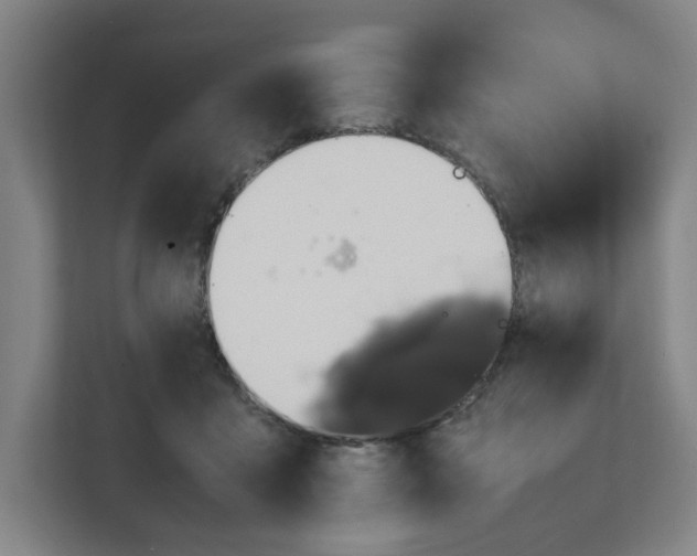 X0000111470411200908031404