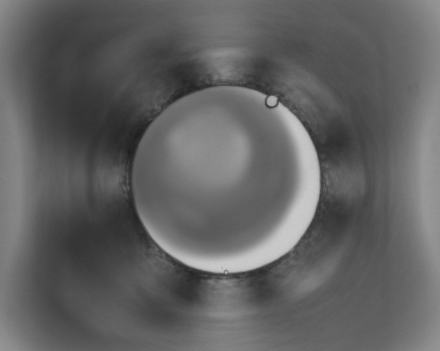 X0000111470419200908031404