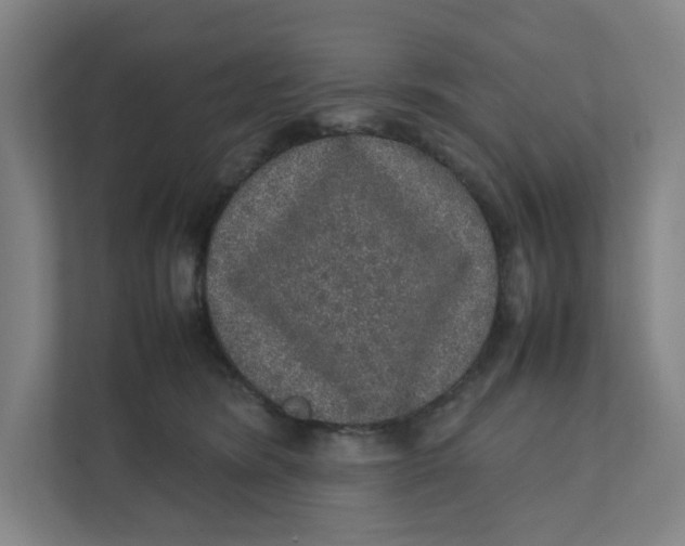 X0000111470420200908031404