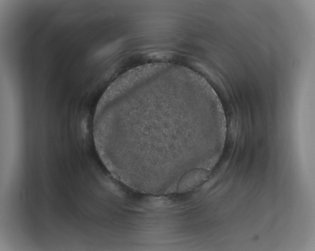 X0000111470424200908031404