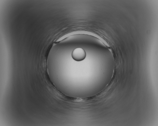 X0000111470425200908031404