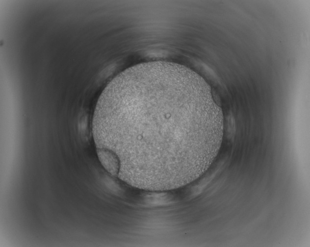 X0000111470428200908031404