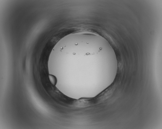 X0000111470429200908031404