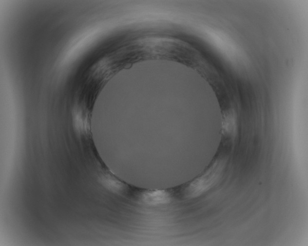 X0000111470431200908031404