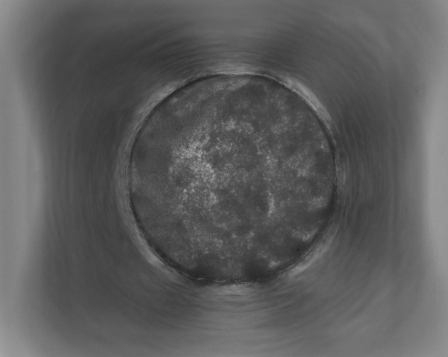 X0000111470433200908031403