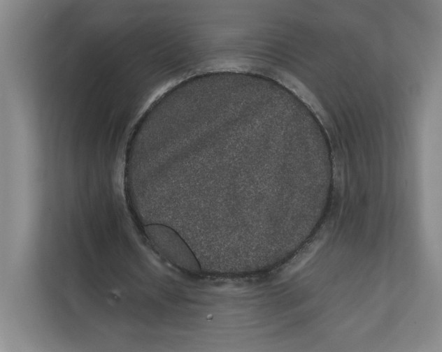 X0000111470434200908031403