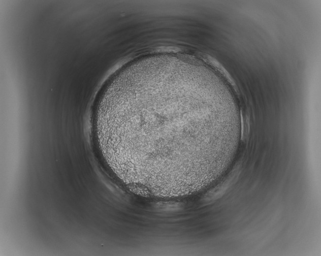 X0000111470435200908031403