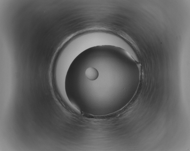 X0000111470436200908031403