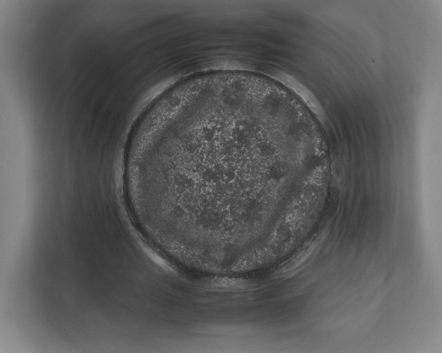 X0000111470437200908031403