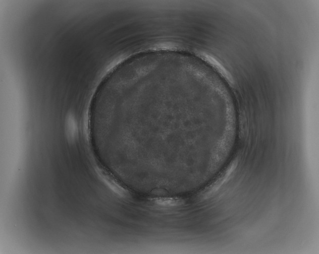 X0000111470439200908031403