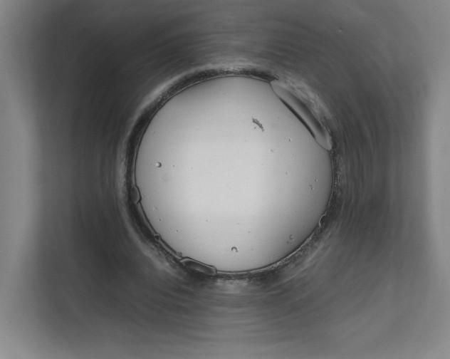 X0000111470440200908031403