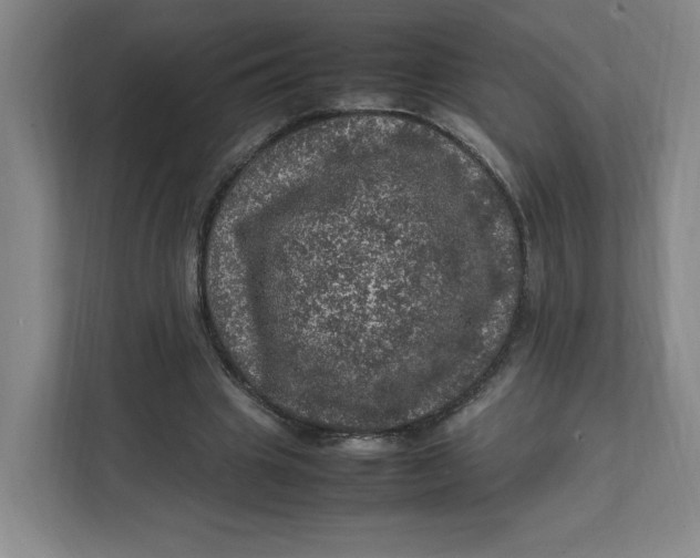 X0000111470441200908031403