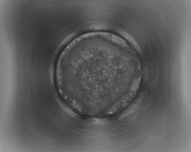 X0000111470442200908031403