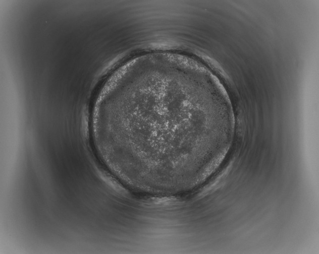 X0000111470446200908031403