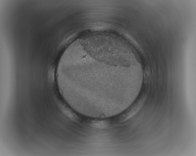 X0000111470454200908031403